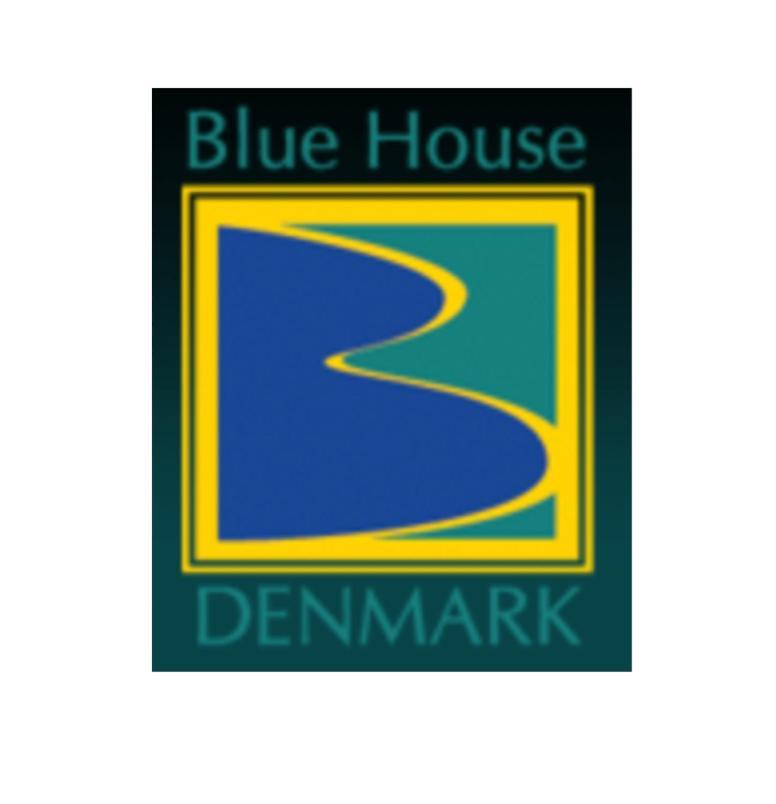 Вілла Blue House Денмарк Екстер'єр фото